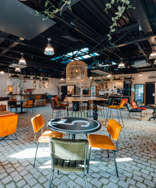 Cowool Espace Colivng