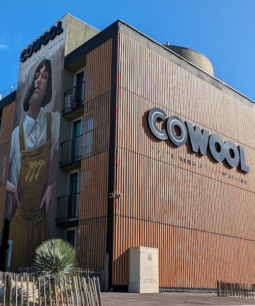 Fresque façade Cowool Avignon