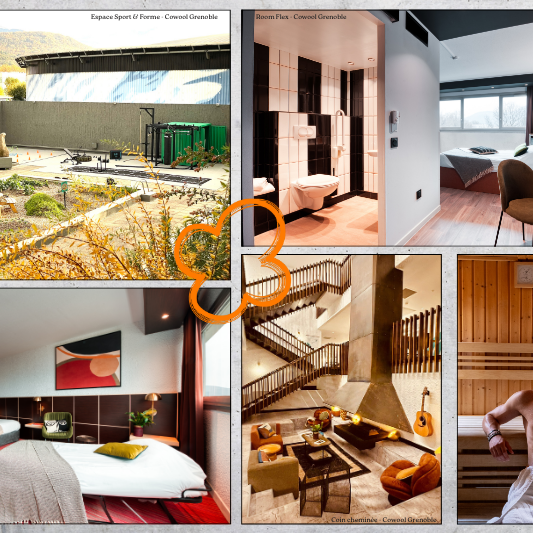 Site web - article Grenoble