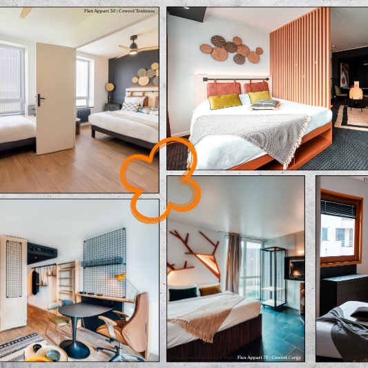 Site web - article coliving